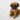 Cachorro